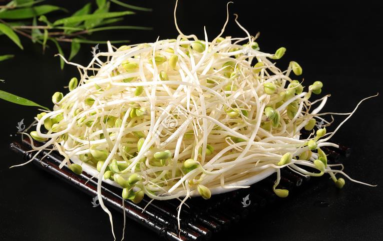 無公害綠色豆芽，怎么生產出來的？全套生產過程如此方便智能